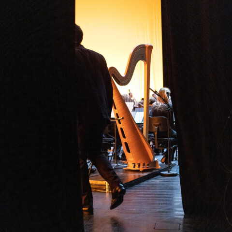 Autour de la harpe — Les musiciens de l'Orchestre de l'Opéra